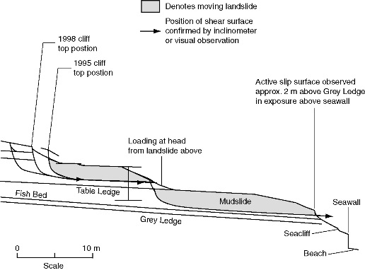 Typical ground model section at Lyme Regis, after Fort et al. (2000).